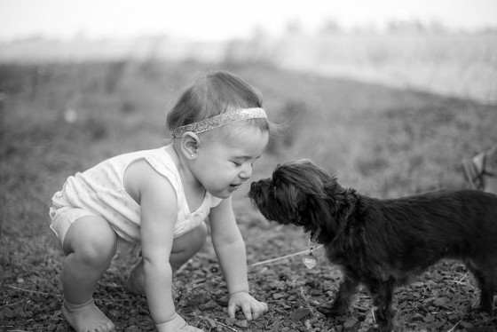 Babies With Dogs