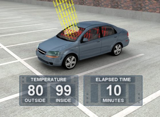 Hot-Car Deaths Heatstroke Fatal